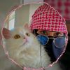 turbatbakon002