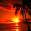 digital.sun.tan