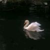 noussaiba.noussaiba.12
