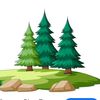 bunga_pinus3