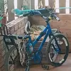laercio100w