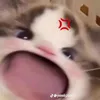 bongxinhiu507