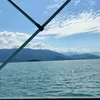 enzo__190
