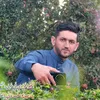 .user1334962520193