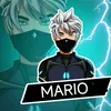 ff.mario1x