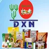 dxn_global8