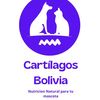 cartilagos.bolivia