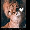 abou.tarko8