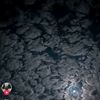 dark61659