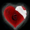 follow_me_ples
