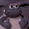 araraleia