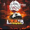 md.labib5086