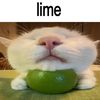 tenbillionlimes
