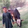 hanif_jani001