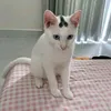 khanhngocnguyentolet