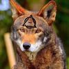 redwolf_therian