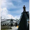 ian.12391
