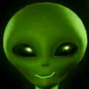 vivuexe