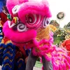 khanhminh_asth