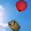 gain.flaoffical