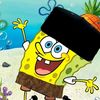 haiboyfirdaus