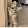 su.wai.htet024