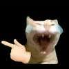 THE_CHROMA_SHOW