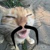 aqil.alfatihtrans