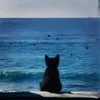 lo_looe