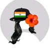 vaidehi3183