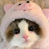 ninna12329