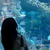 hoangphuonguyen47