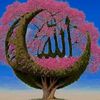 user5461531598726