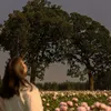 a._6_9
