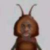 p.l._._