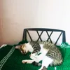 sooshu211