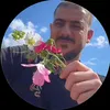 ali_alrais1