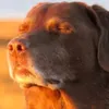 ethangenamu30