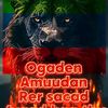 qooqaa.ina.yaxye