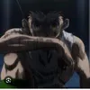 gon_freecs942