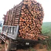 tin051420