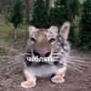 tyt.sasha