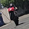 willie_t916