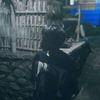 bintang_nichol