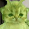 cucuuuperrrrr_