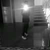 nitay.gozlan