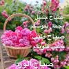 user3681453061681