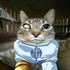helloimali
