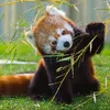 eliosu_1203