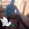 user81313682504815